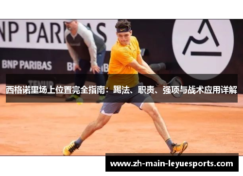 西格诺里场上位置完全指南：踢法、职责、强项与战术应用详解