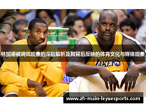 林加德被调侃现象的深层解析及其背后反映的体育文化与媒体现象 林加德被调侃现象的深层解析及其背后反映的体育文化与媒体现象