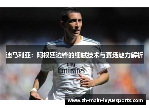 迪马利亚:阿根廷边锋的细腻技术与赛场魅力解析 迪马利亚:阿根廷边锋的细腻技术与赛场魅力解析