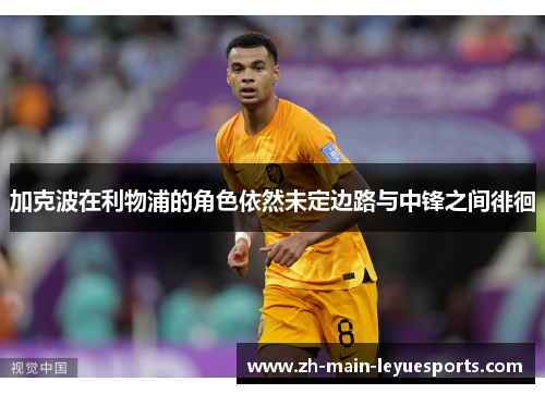 加克波在利物浦的角色依然未定边路与中锋之间徘徊